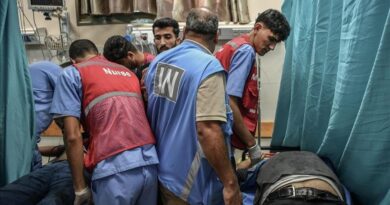La OMS insta a aumentar la ayuda humanitaria a Gaza tras acuerdo de pausa en los enfrentamientos