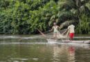 Degradados los ecosistemas de agua dulce en gran parte del mundo