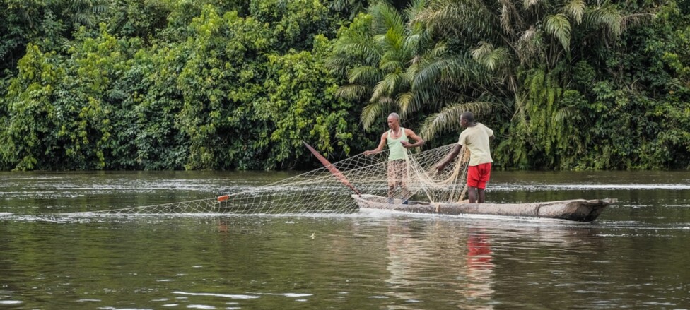 Degradados los ecosistemas de agua dulce en gran parte del mundo