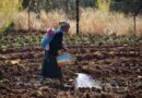 OIT pide más protección social para enfrentar el cambio climático