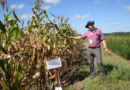 La agricultura de conservación transforma al sector en el sur de África