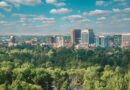 Hemos identificado los árboles que mejor funcionan para refrescar las ciudades