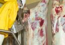 Así podemos producir combustibles a partir de los residuos de matadero